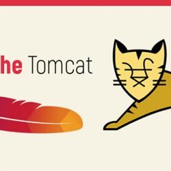 Netranet Networking | Apache Tomcat