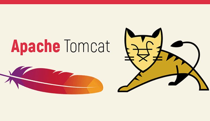 Netranet Networking | Apache Tomcat