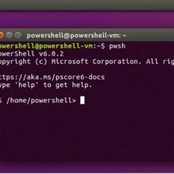 Netranet Networking | PowerShell para Linux